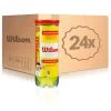 Wilson Championship 24x 3 Ball Tube In A Box -Tennis Shop 0158400000 000